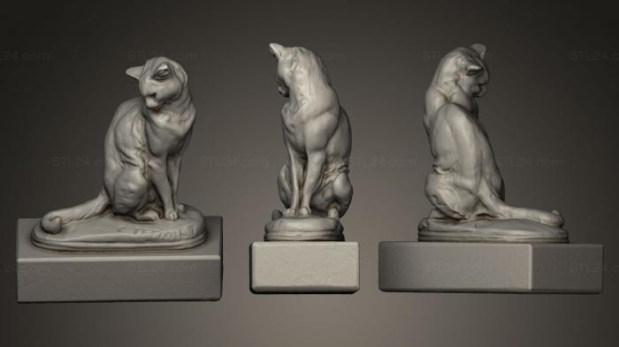 Кошка